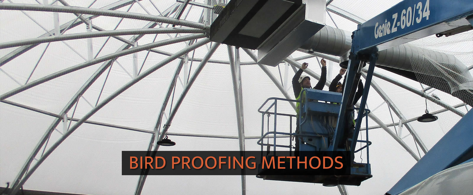 Bird Proofing Methods